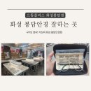 더플러스안경콘텍트(동천점) | 화성 봉담안경 으뜸플러스 화성봉담점 4주년 행사! 가성비 안경 추천