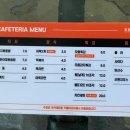 레스트펫 이미지