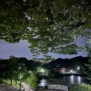 올림픽공원 북2문 이미지