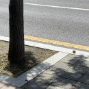 (주)할아버지공장