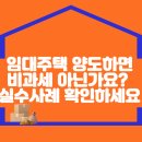 임대주택 양도하면 비과세 아닌가요? 실수사례 확인하세요 이미지