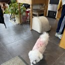 쏠티뮤직스튜디오