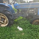 상주농장 | 상주 키즈카페 아닌 진짜 농장 카페! 파머스룸 동물체험 후기