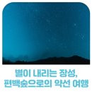 장성편백산마늘영농조합법인 - 2863 | 별이 내리는 장성 편백숲으로의 약선여행