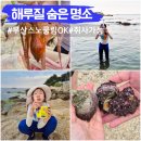 부산 기장 아이랑 해루질 스노쿨링 기장해양정수센터 주차 카페 솔직후기