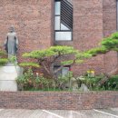 인조유기비어린이공원 이미지