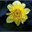 까치울역 2번 출구 이미지