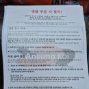 (주)대정 | 3월 벚꽃피는 계절, 안성비단잉어 대정삼색 황금분양&amp; 연못풍경