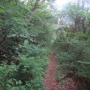 김삿갓면-5 이미지