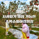 초록슈피아캠핑장 | 경남 아이와 밀양 초록 슈피아 캠핑장 사과따기체험 가능한 곳!