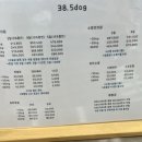 38.5독