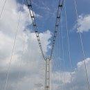 거미상회 이미지