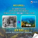 식목일_포항