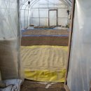 소망농장 이미지