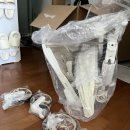 예쁜 휴대용 유모차 ‘에이블 코지샤인 트라이크 카푸치노 화이트 ’강추! / 내돈내산 실사용 후기