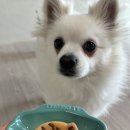 멍멍쩝쩝 이미지