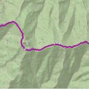 부광마스타