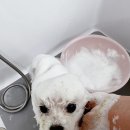 경기도 수원시 영통구 산남로 이미지