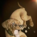 용마동물병원 이미지