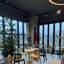 227 | [진천 카페] 더힐 227 후기 진천 애견동반카페 진천혁신도시 카페