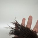 세반헤어