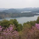 이화;동