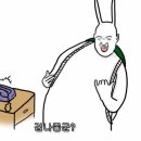 광계토 이미지