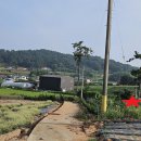 【무안군토지매매】현경면 해운리 토지(전)매매합니다. 이미지