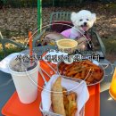 피피도그 이미지