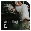 피치플랜 이미지