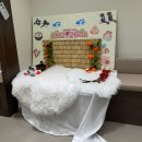 광주동물메디컬센터 | 경기도 광주 24시간 동물병원 레이어동물메디컬센터 포메 심장병 B2 산소방 치료 후기