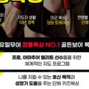 골든복싱 이미지