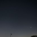 (주) 하늘펫 이미지