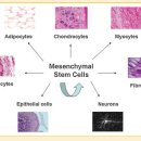 청담이음엘의원 이미지