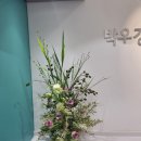 박우경치과교정과치과의원 네이버블로그