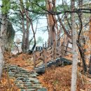 봄날약국 - 오산시 궐리사로 34 | 봄날약국