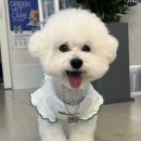 해나동물병원 이미지