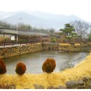 서당곡지 네이버블로그