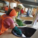 하동야생차박물관 이미지