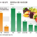 단푸드