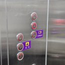 강원도 숙소ㅣ정선 하이원리조트 마운틴콘도ㅣ강원랜드ㅣ내돈내산 솔직후기