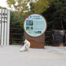 호수공원 관리사무소 옆 이미지