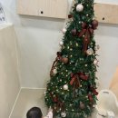 은천동-5 | 아기랑 실내 수영장 <서울형 키즈까페 관악구 은천동점> 예약 및 방문후기