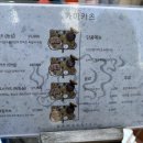 서울카츠