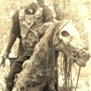 The Green Knight 이미지