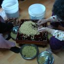 고향풍년 이미지