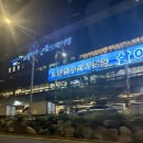 바다회사랑 웨이팅 실패, 노량진 수산시장 전라상회 내돈내산 후기 (바다회사랑 웨이팅 팁)