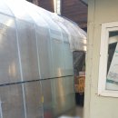 팔팔도새기 이미지