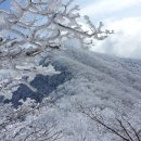 나포중 총동문회 산악회 '14년 1분기 등산 및 시산제 안내 이미지