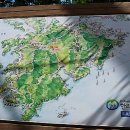 미래사 편백나무 숲